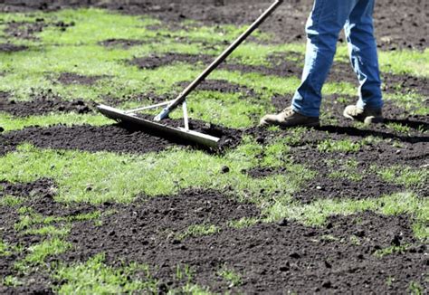 Topdressing a lawn. Things To Know About Topdressing a lawn. 